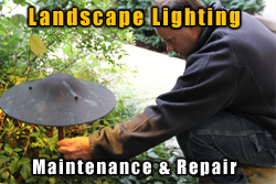 Landscape Lighting Installation
